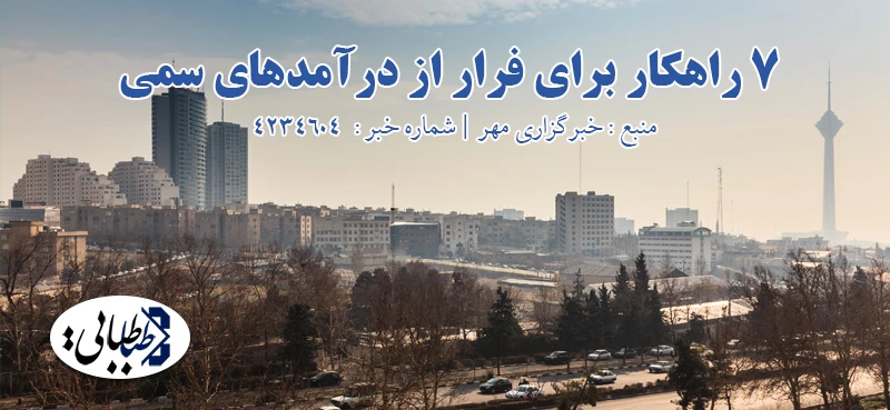 ۷ راهکار برای فرار از درآمدهای سمی