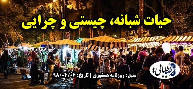 حیات شبانه، چیستی و چرایی