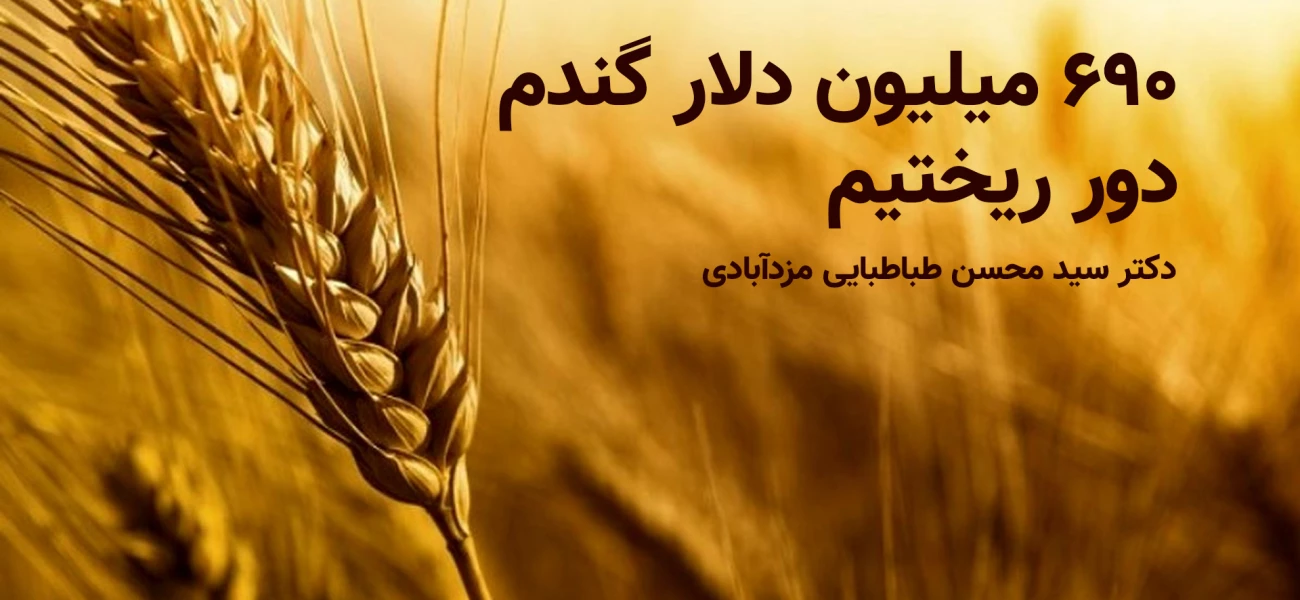690میلیون دلار گندم دور ریخته شد