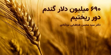 ششصد و نود میلیون دلار گندم دور ریخته شد