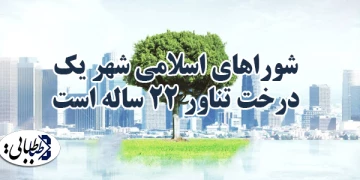 شوراهای اسلامی شهر یک درخت تناور ۲۲ساله است