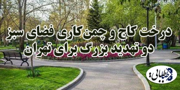 درخت کاج و چمن‌کاری فضای سبز دو تهدید بزرگ برای تهران + فیلم