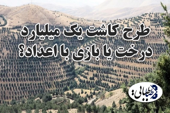 طرح کاشت یک میلیارد درخت یا بازی با اعداد؟