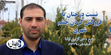 نسبت درختان با فروکش کردن خشم شهری