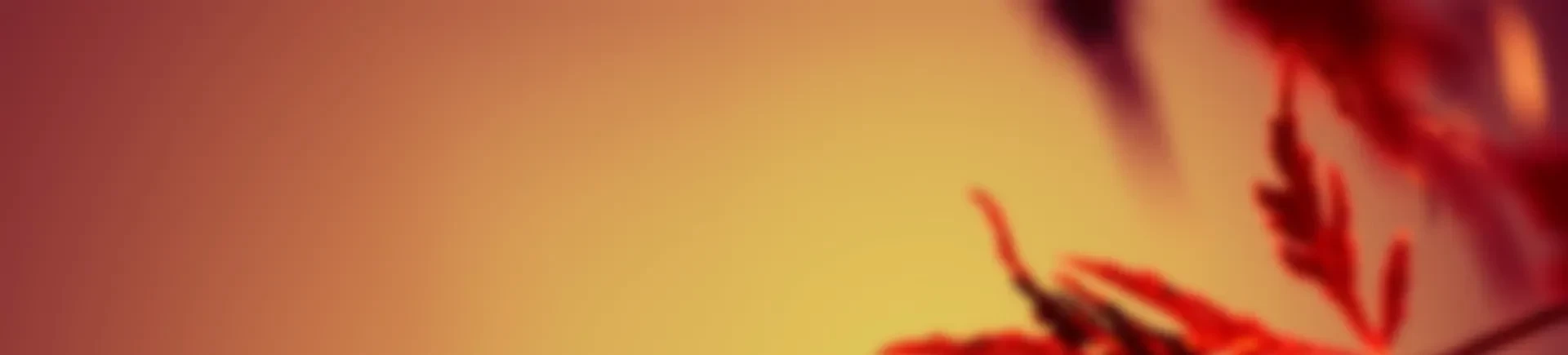 دکتر سیدمحسن <span>طباطبایی</span> مزدآبادی